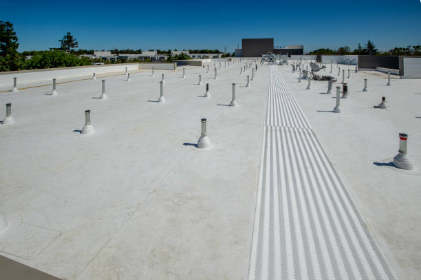 Best Solar Panel Roofing Installation  in Valparaiso, FL